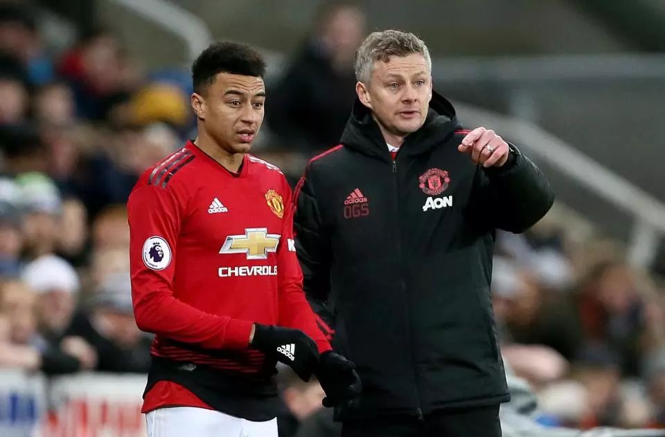 今年夏天放 今年夏天放